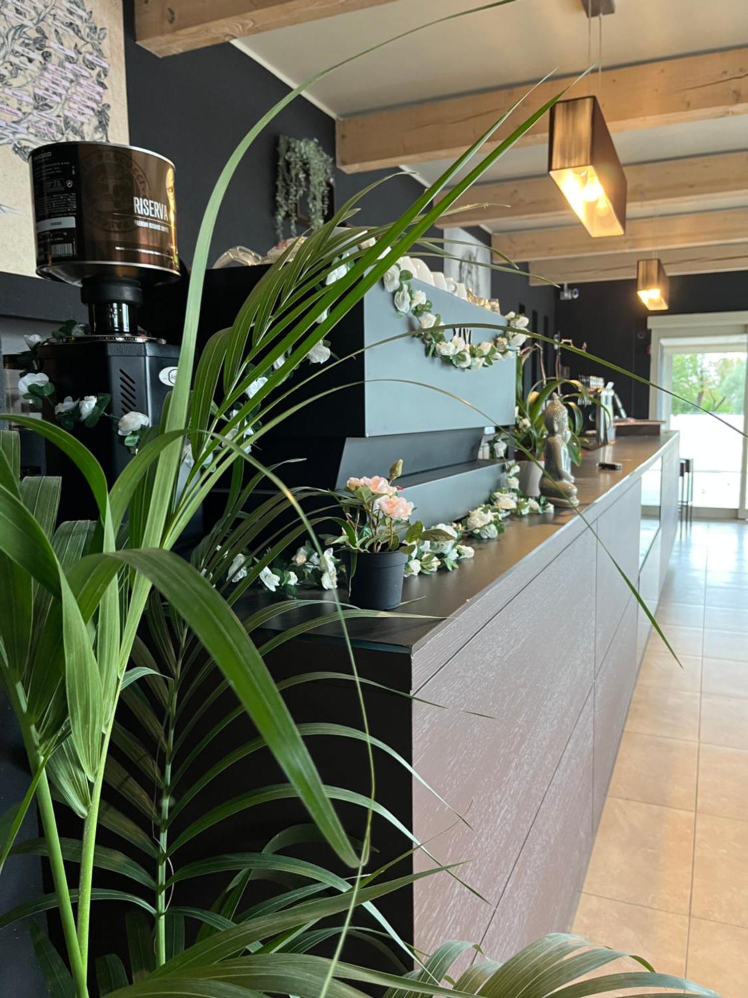 Bed & Breakfast La Rondinella Cerasolo ภายนอก รูปภาพ