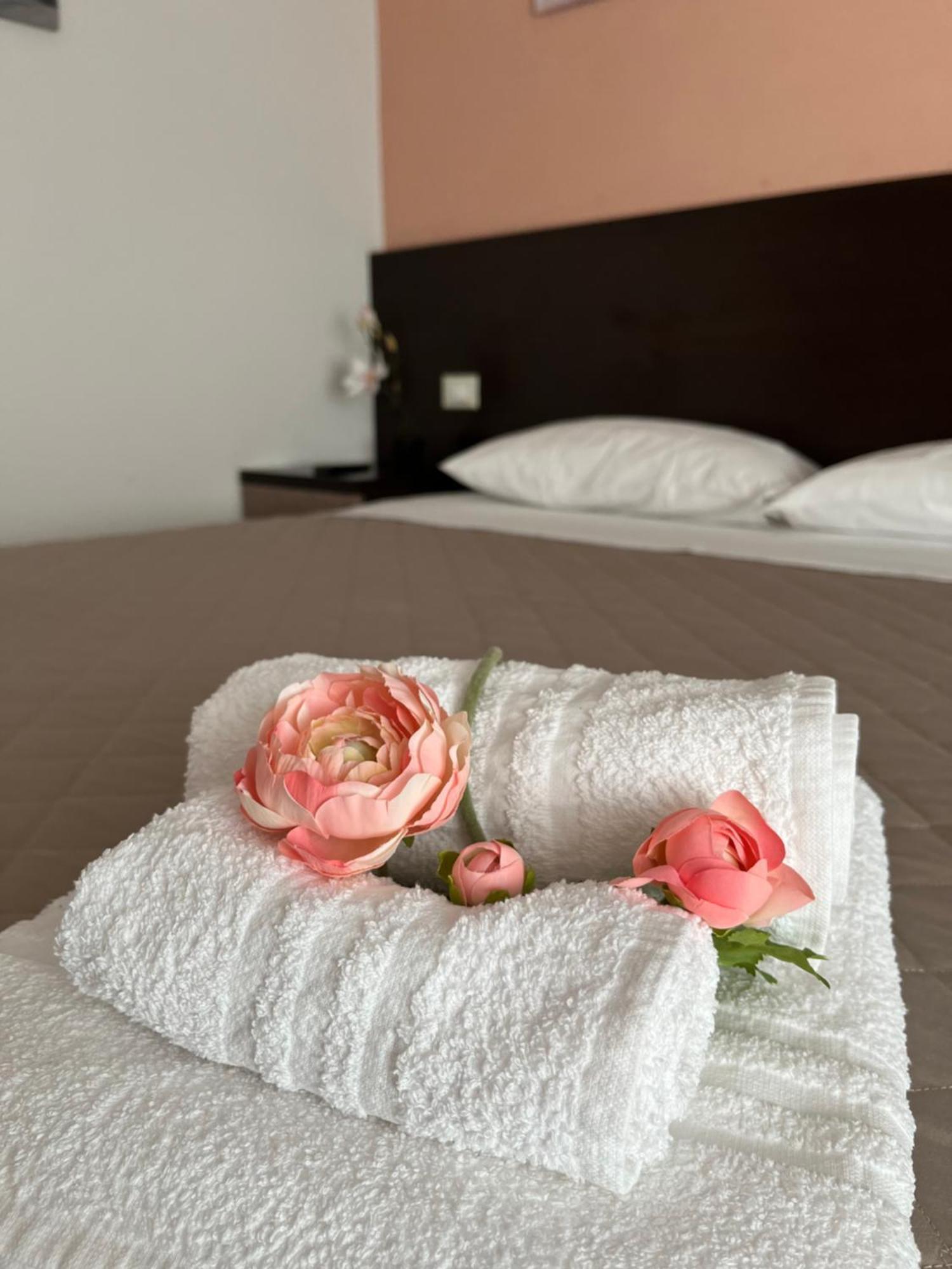 Bed & Breakfast La Rondinella Cerasolo ภายนอก รูปภาพ